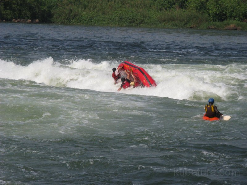 688 676 IMG_2846.jpg